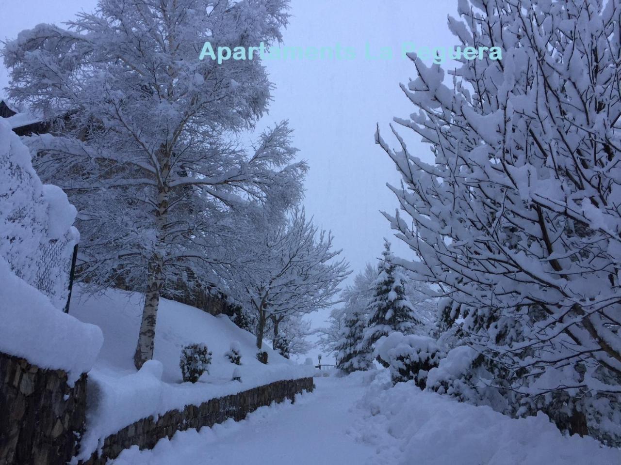 Apartaments La Peguera Bohí Dış mekan fotoğraf