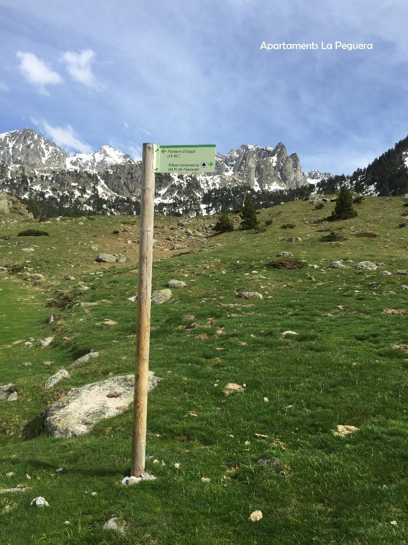 Apartaments La Peguera Bohí Dış mekan fotoğraf